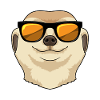 Meerkats with sunglasses