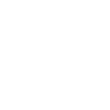 Lemurs Geometric Animal