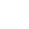 Tronçonneuse