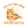 Maine Coon Kater Katzen