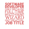 "Software Developer Wizard | Programmierer"