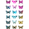 BUTTERFLY BUTTERFLY