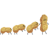 Peanut Evolution
