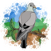 Oiseau
