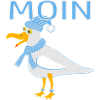 Lustige Möwe