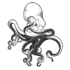 octopus, octopus, squid, seafood, calamari