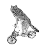 Loup
