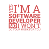 "Software Developer Work | Programmierer"