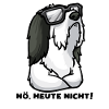 Sturer Bearded Collie Highland Collie