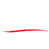 Bernie