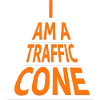 I am a traffic cone