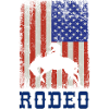 Rodéo américain