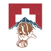 St. Bernard's Dog Dog Switzerland