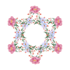 Jüdischer Davidstern Blumen