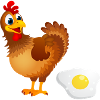 Le poulet met un œuf humour poule met omelette