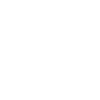 Evolution Mma
