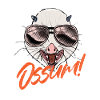 Ossum! Possum Opossum Pouch Rat