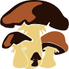Four mushrooms