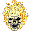 Burning skull / skull flames