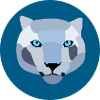 Mountain Lions Silver Cats