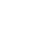 Forêt d’arbres