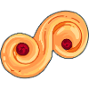Lussekatt