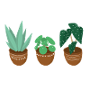 plant lover plant love