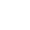Fossil Hunter