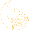 cat in the moon shining