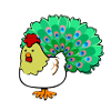 chicken peacock