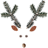 Reindeer Christmas