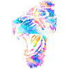 Löwe | Löwenkopf | Bunte Katze