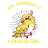 Vogel Verrückter Kanarienvogel