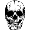 head of death skull halloween