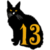 chat noir numero 13