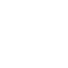 archaeopteryx mit federn