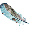 Feather