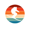 Ski