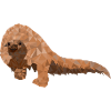 Pangolin pangolin endangered species Pholidota