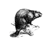 Beaver Whisperer