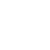 flowers flower