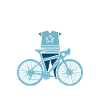 MTB Mountain Bike