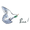 Peace Dove of Peace