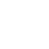 Owl Geometric Line