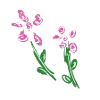 fleurs fleur