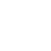 Let your Dreams Take Flight