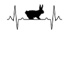 Rabbit Heartbeat