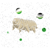 Aromatic tardigrade in space
