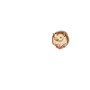 Hedgehog Gift