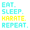 Eat. Sleep. karate. Repeat.